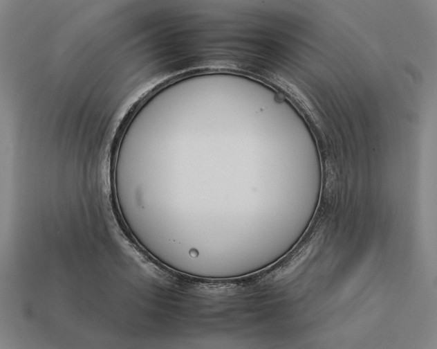 X0000113350939200910061016