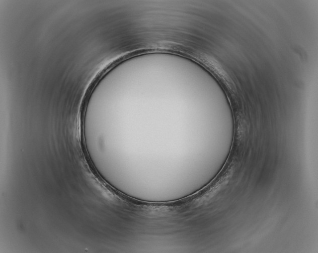 X0000113350940200910061016