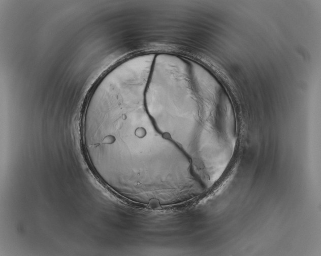 X0000113350941200910061016