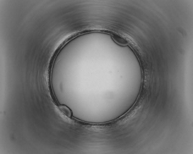 X0000113350942200910061016