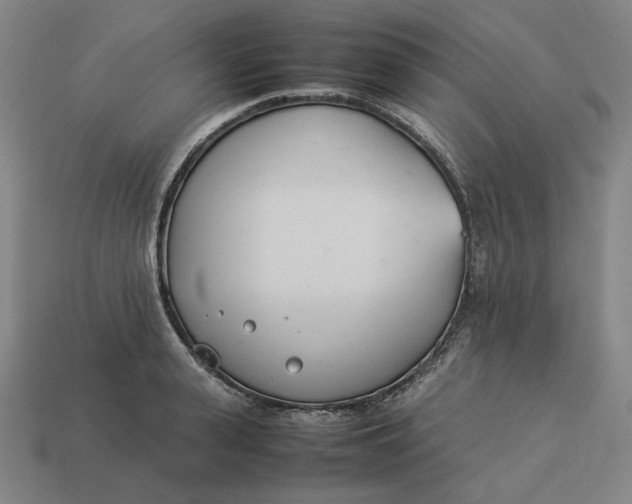 X0000113350943200910061016