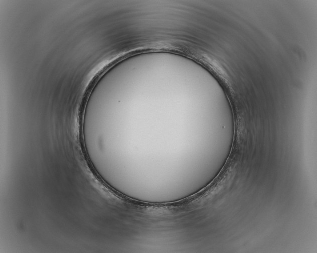 X0000113350944200910061016