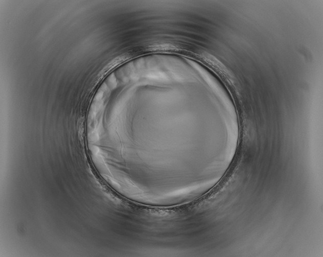 X0000113350945200910061016