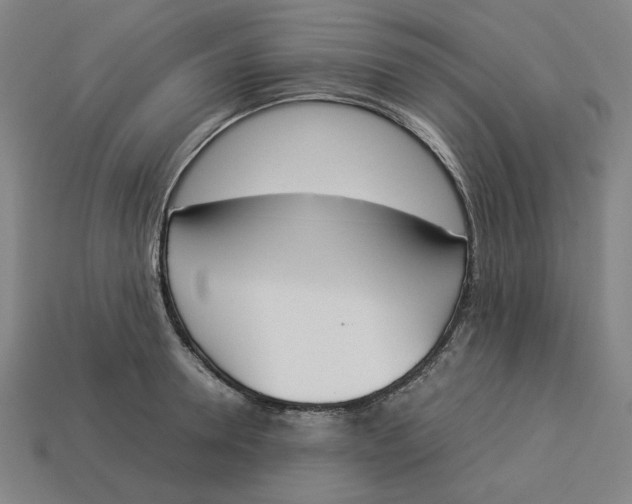 X0000113350946200910061016