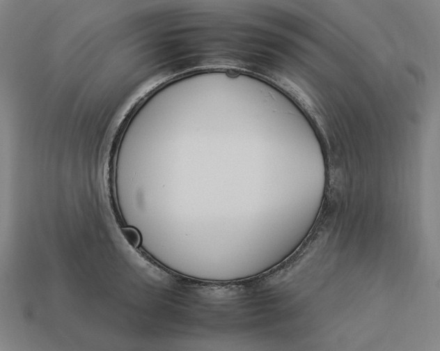 X0000113350947200910061016