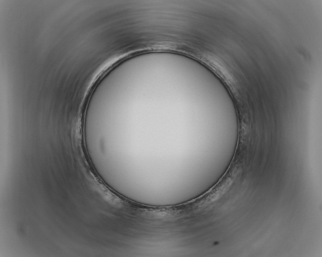 X0000113350948200910061016