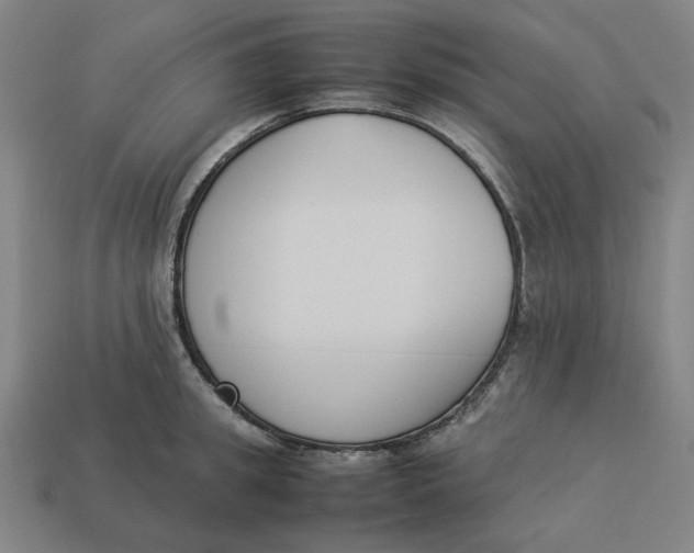 X0000113350949200910061016