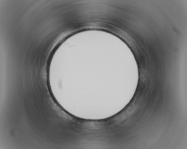 X0000113350950200910061016