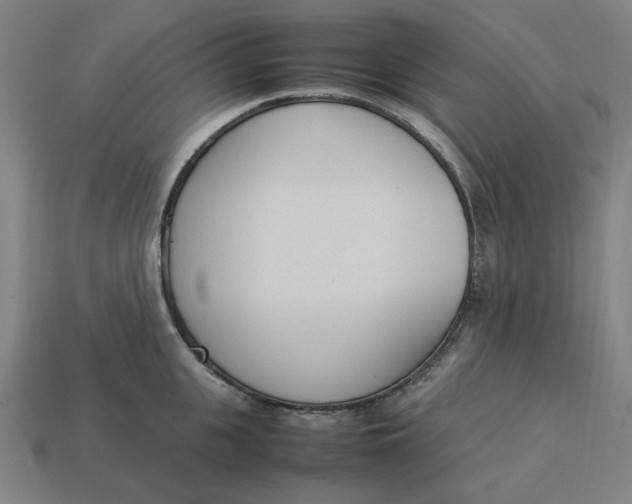 X0000113350951200910061016