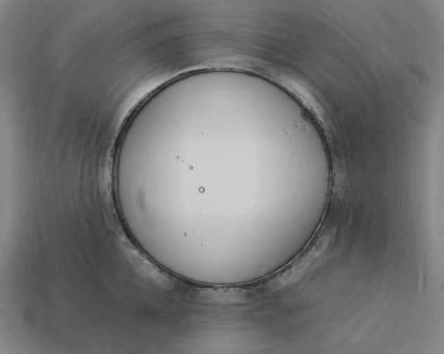 X0000113350952200910061016