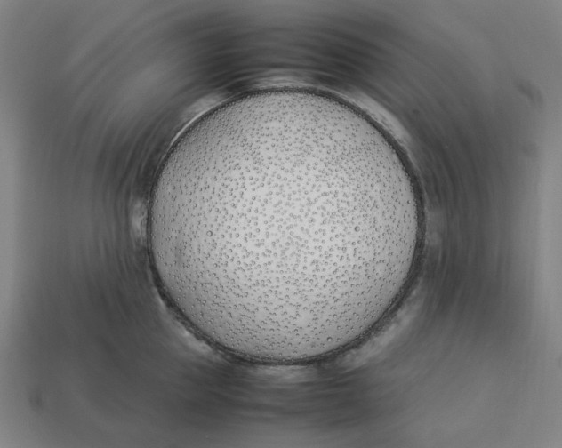 X0000113350953200910061016