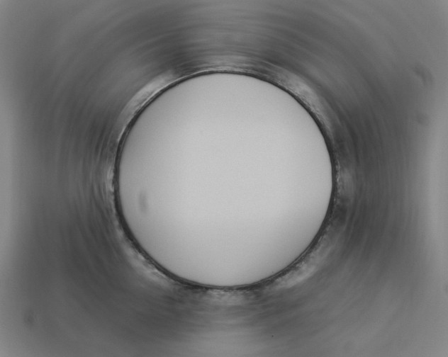 X0000113350954200910061016