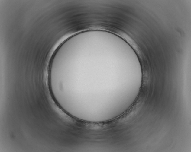 X0000113350955200910061016