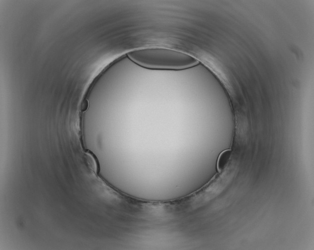 X0000113350956200910061016