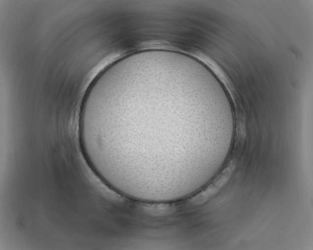 X0000113350957200910061016