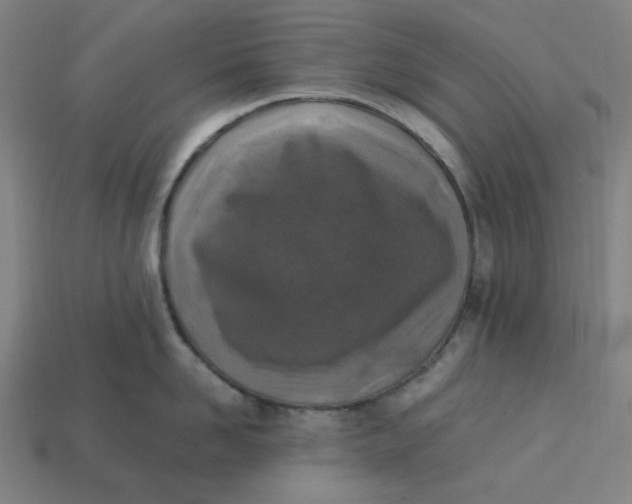 X0000113350958200910061016