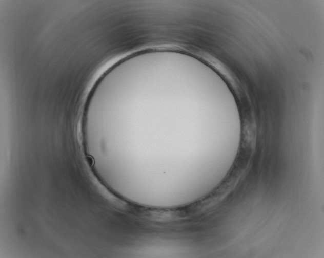 X0000113350959200910061016