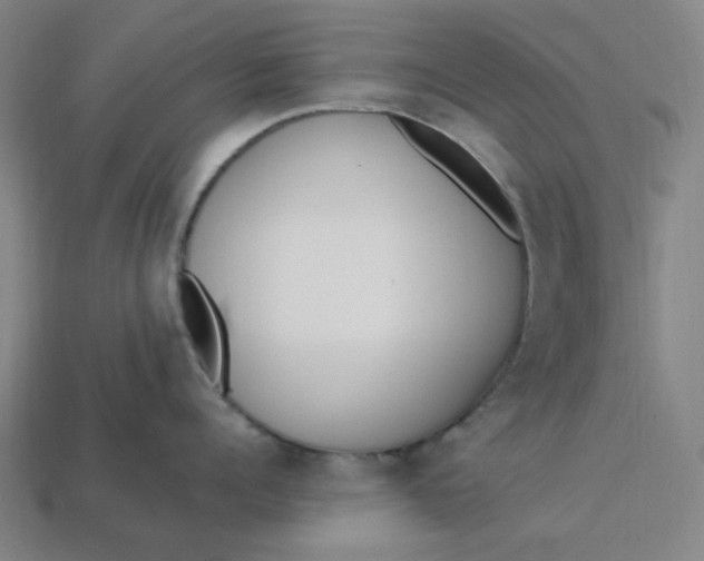 X0000113350960200910061016