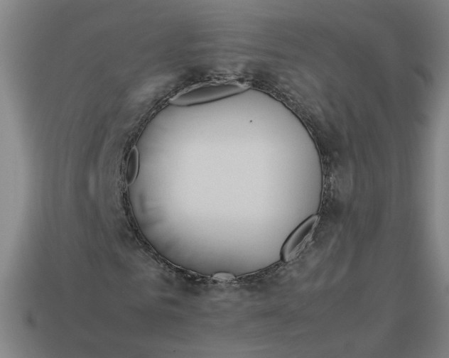 X0000113350961200910061015