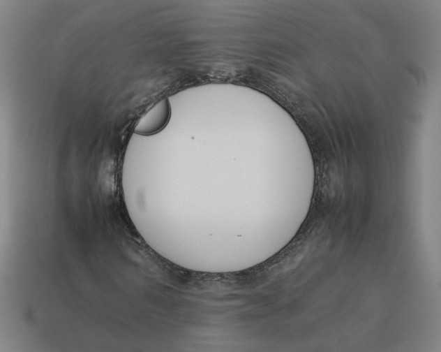 X0000113350962200910061015