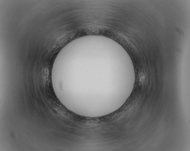 X0000113350964200910061015