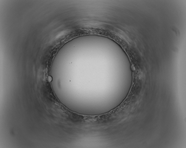 X0000113350965200910061015