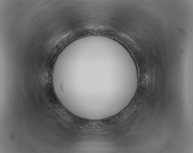 X0000113350966200910061015