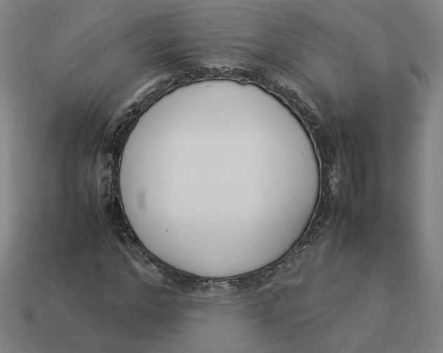 X0000113350968200910061015