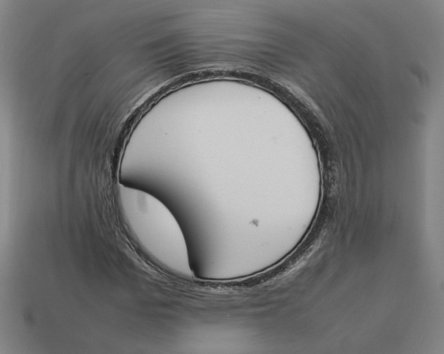 X0000113350969200910061015