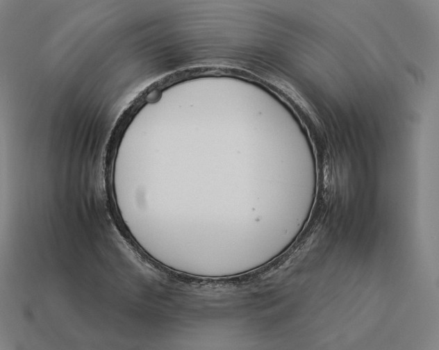 X0000113350972200910061015