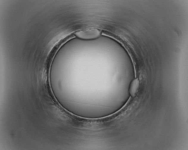 X0000113350973200910061015