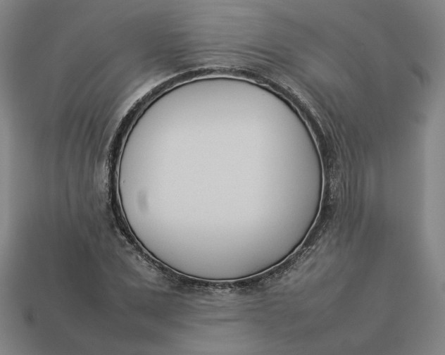 X0000113350975200910061015