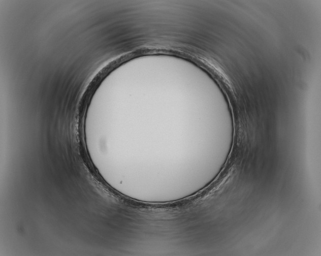 X0000113350976200910061015