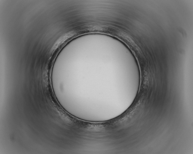 X0000113350978200910061015