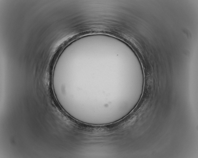 X0000113350979200910061015