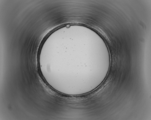 X0000113350980200910061015