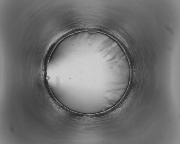 X0000113350981200910061015