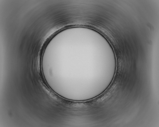 X0000113350982200910061015