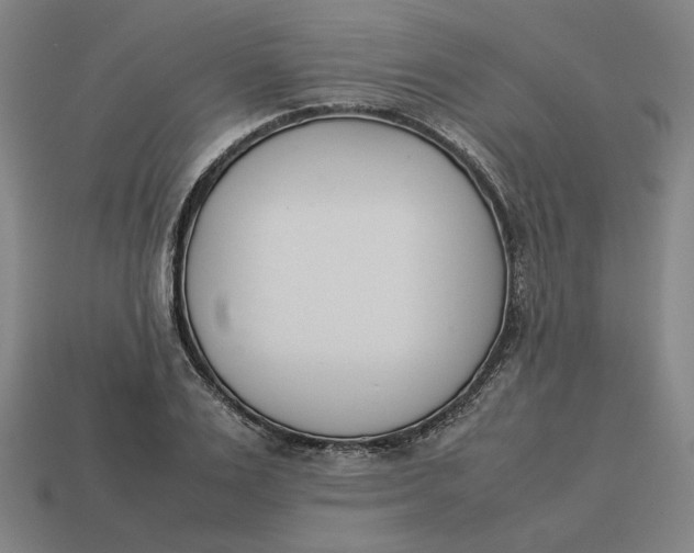 X0000113350983200910061015