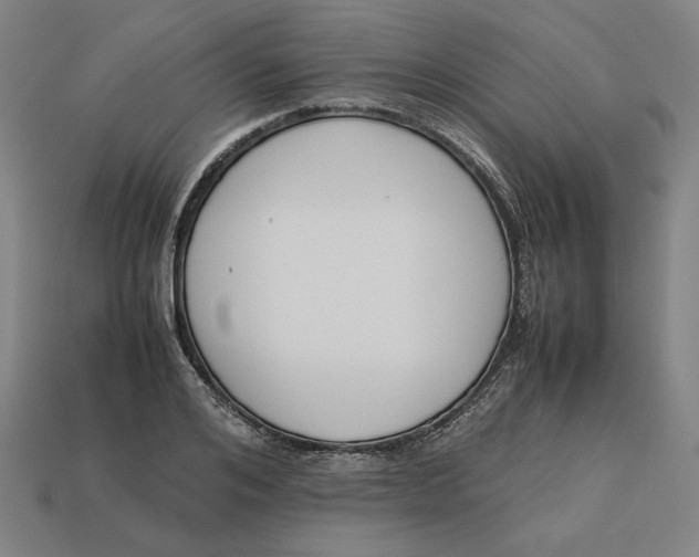 X0000113350984200910061015