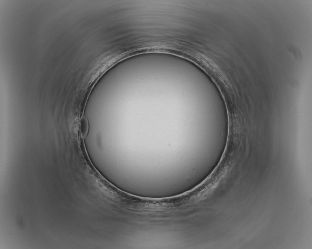 X0000113350985200910061015