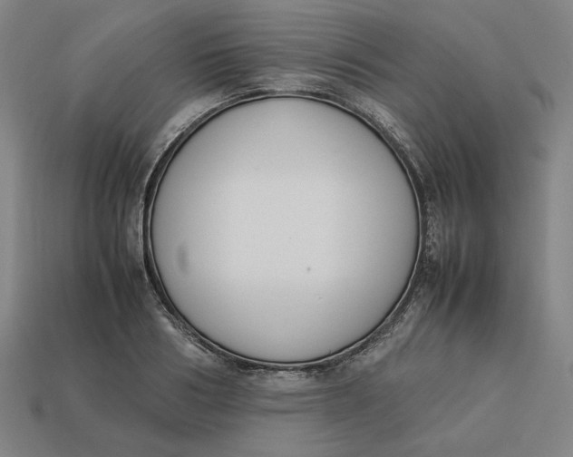 X0000113350986200910061015