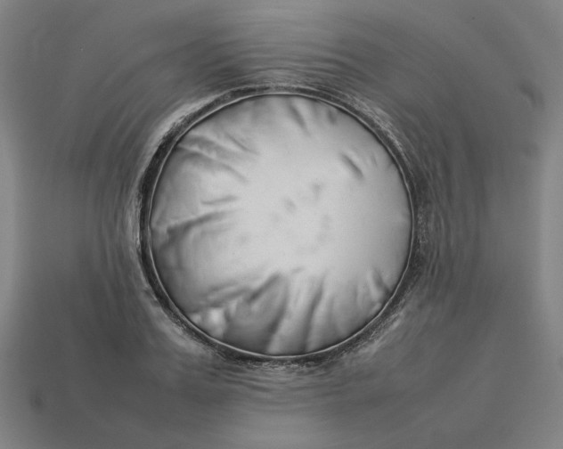 X0000113350987200910061015