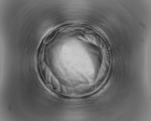 X0000113350989200910061015