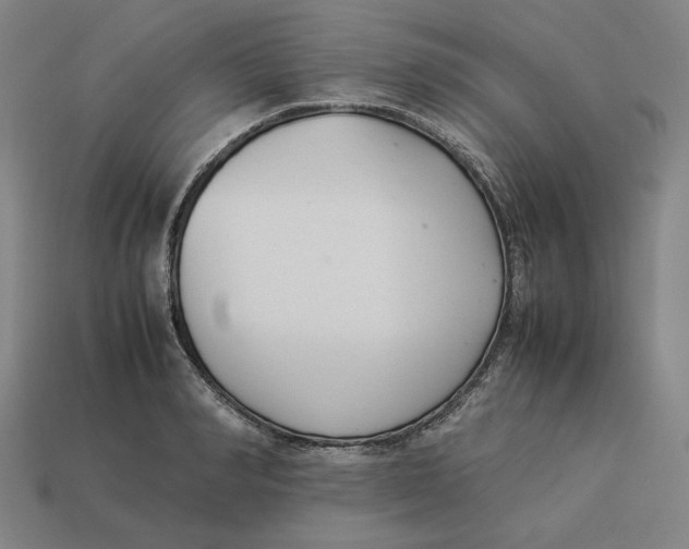 X0000113350990200910061015