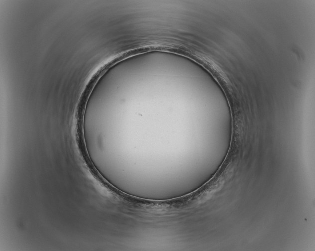 X0000113350991200910061015