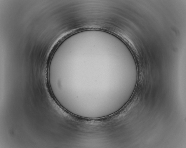 X0000113350992200910061015