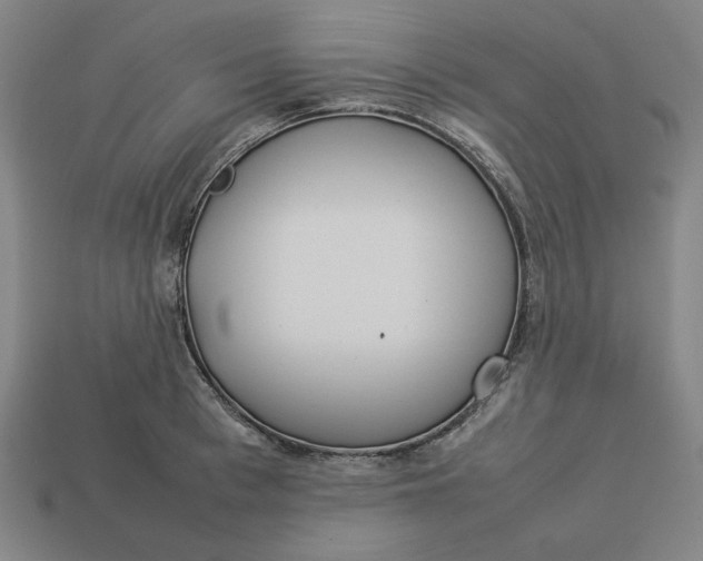 X0000113350993200910061015