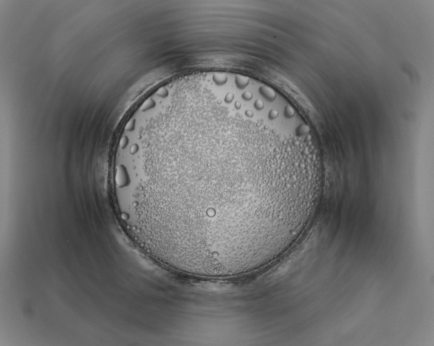 X0000113350994200910061015