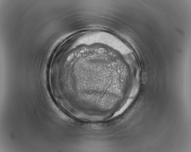 X0000113350995200910061015